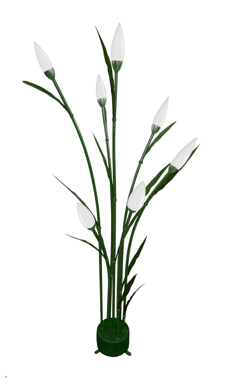 秋日蘆葦 LS-reed