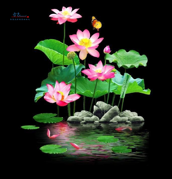 雷色光電｜LED·夢幻水影燈/LS-SY100～LS-SY600(圖1)