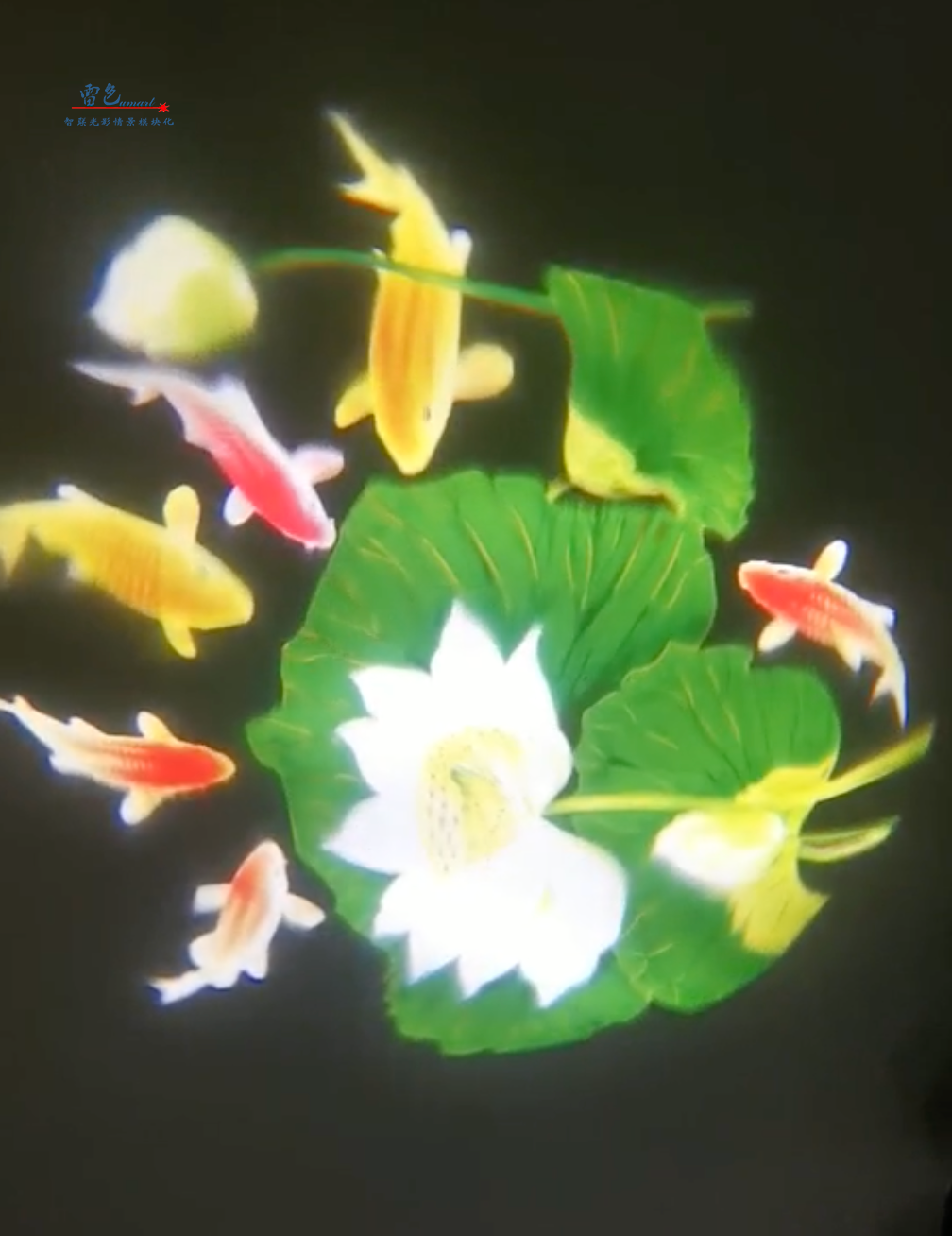 雷色光電｜LED·夢幻水影燈/LS-SY100～LS-SY600(圖7)