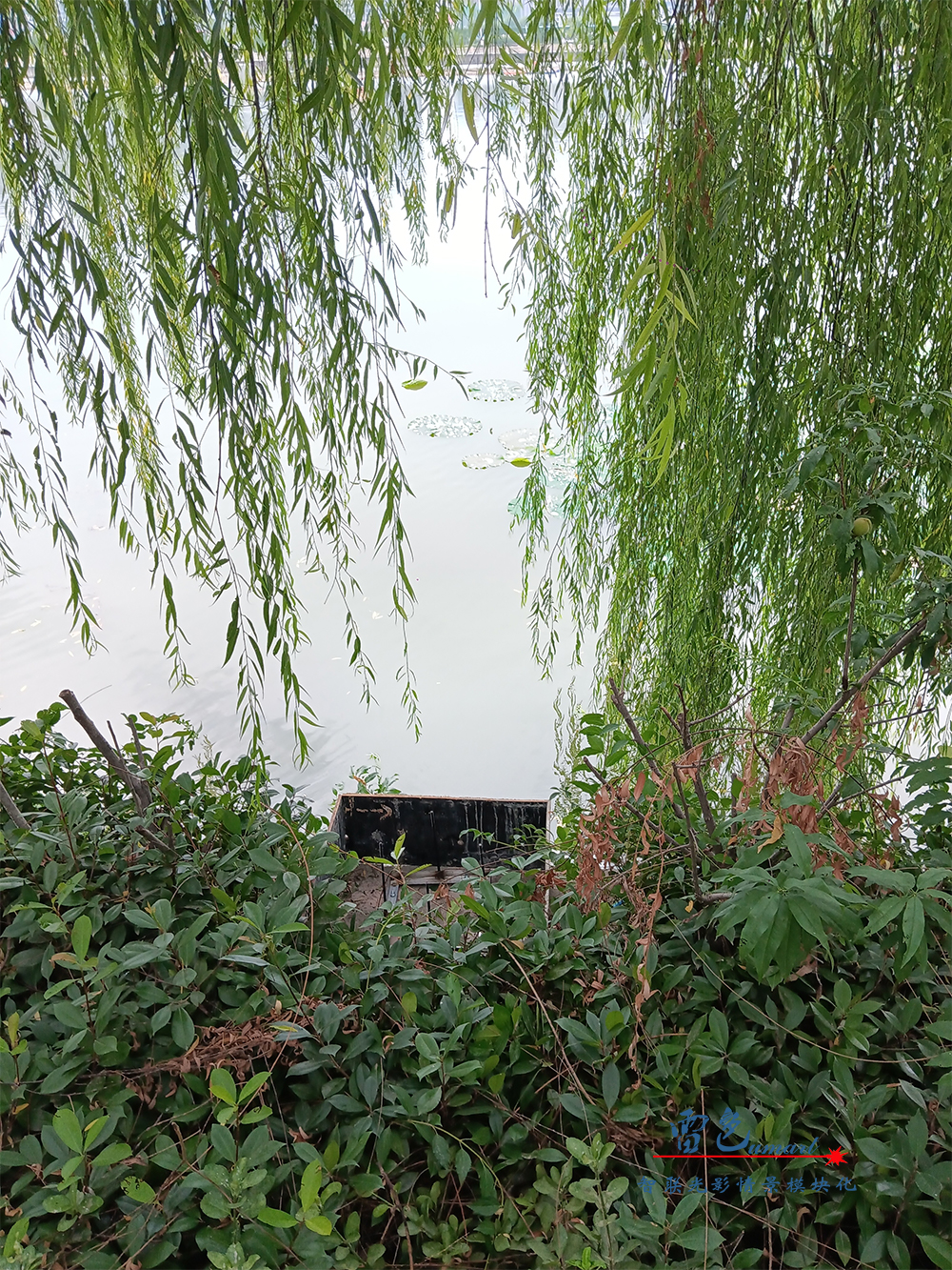 由雷色光電打造的“大美漯河·水韻西城”共慶百年華誕月灣湖之夜主題燈光秀上演啦！(圖16)