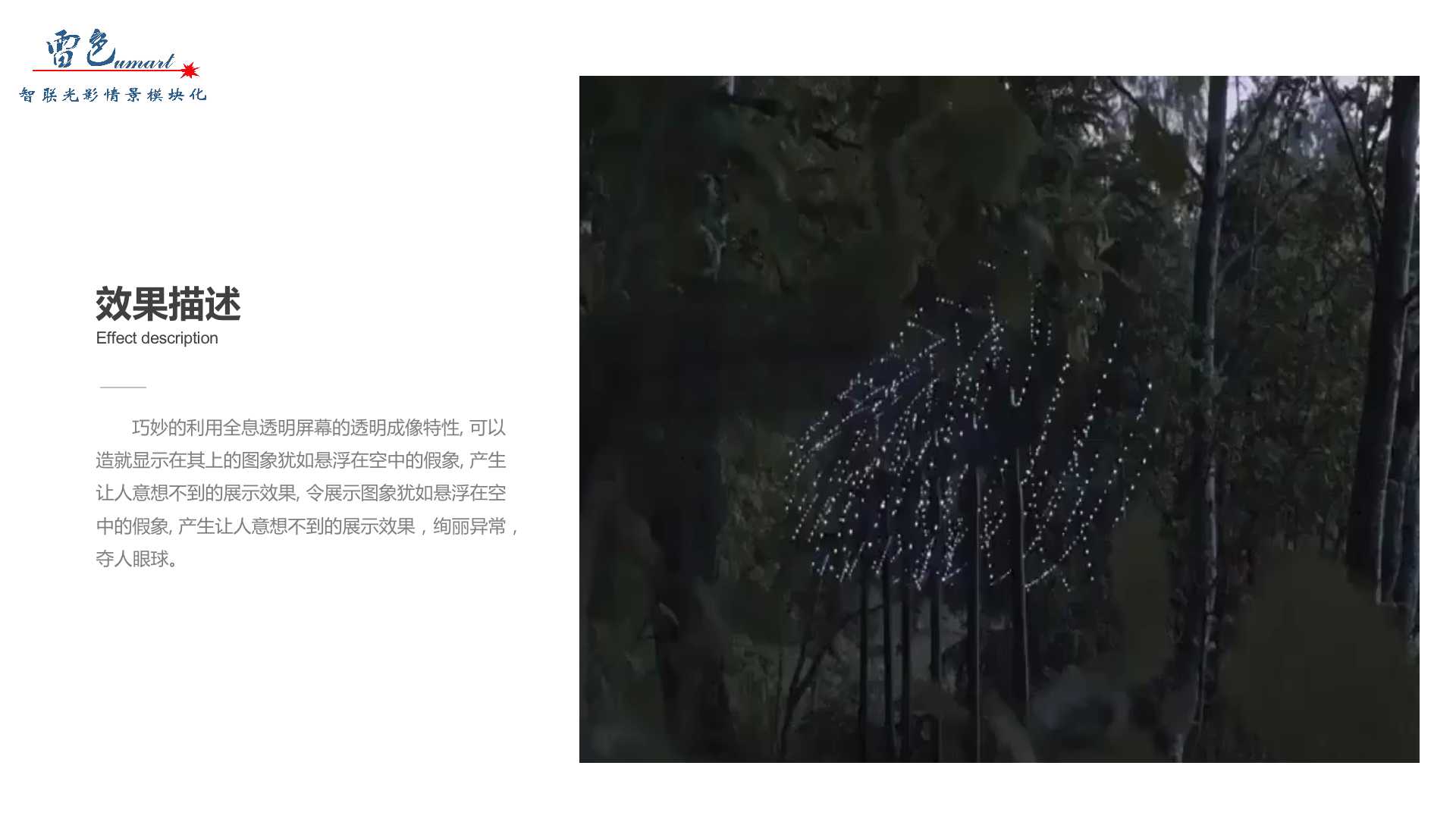 3D虛空影像(圖4)