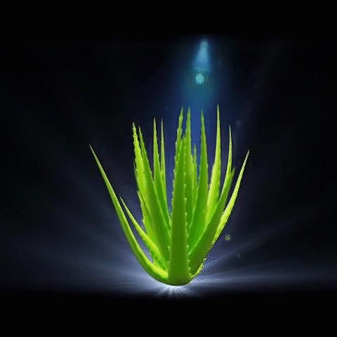 雷色光電助力州來地產:筑夢燈火萬家，同慶盛世中華!(圖10)