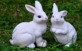 雷色光電｜助力歡樂海岸灣區亮化工程(圖11)