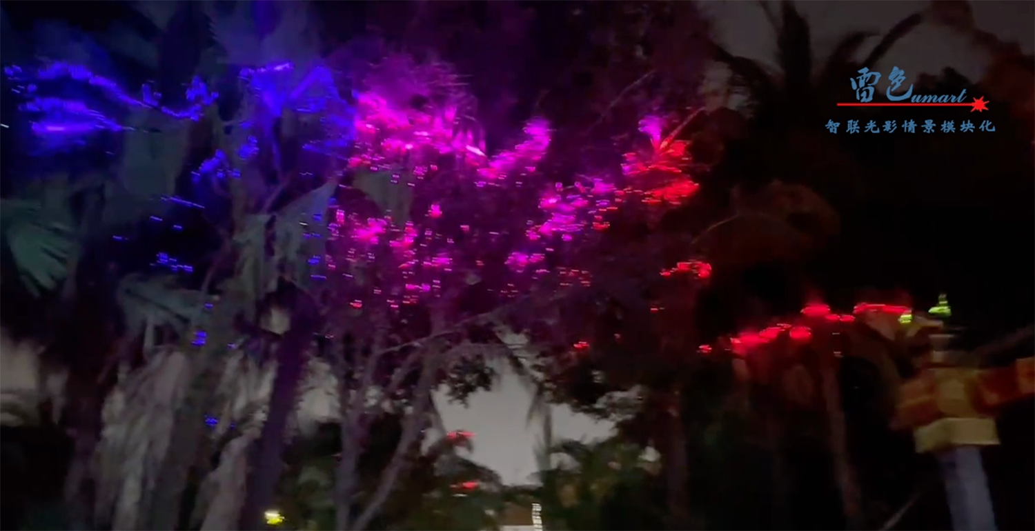 雷色光電｜助力歡樂海岸灣區亮化工程(圖15)