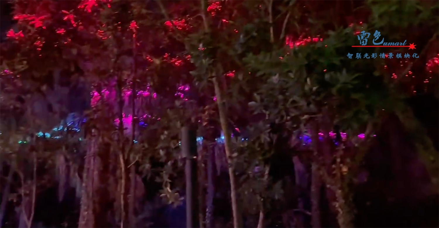 雷色光電｜助力歡樂海岸灣區亮化工程(圖14)