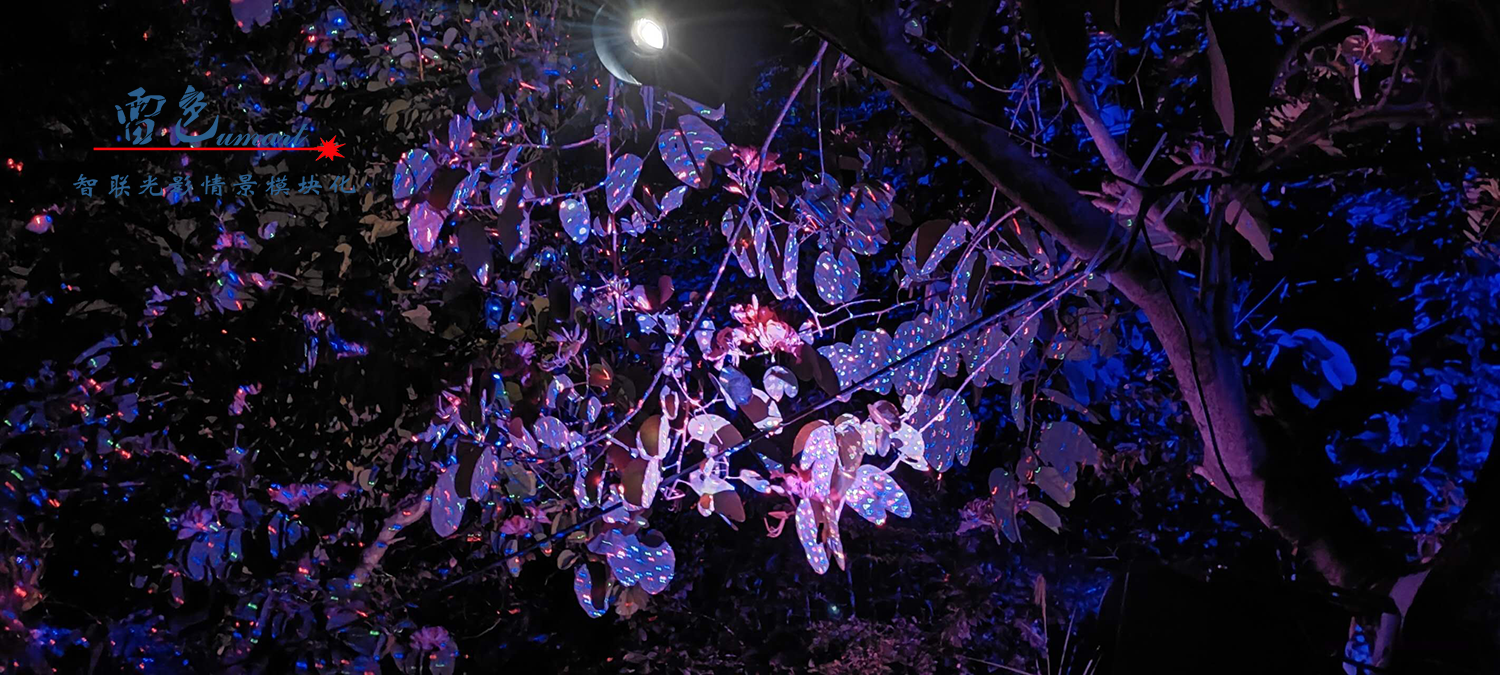 雷色光電打造《夢境光語》夜場燈光秀震撼來襲！(圖36)