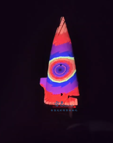 光影交織，夢想啟航——雷色光電2023光影年鑒與2024夢幻前瞻！(圖17)