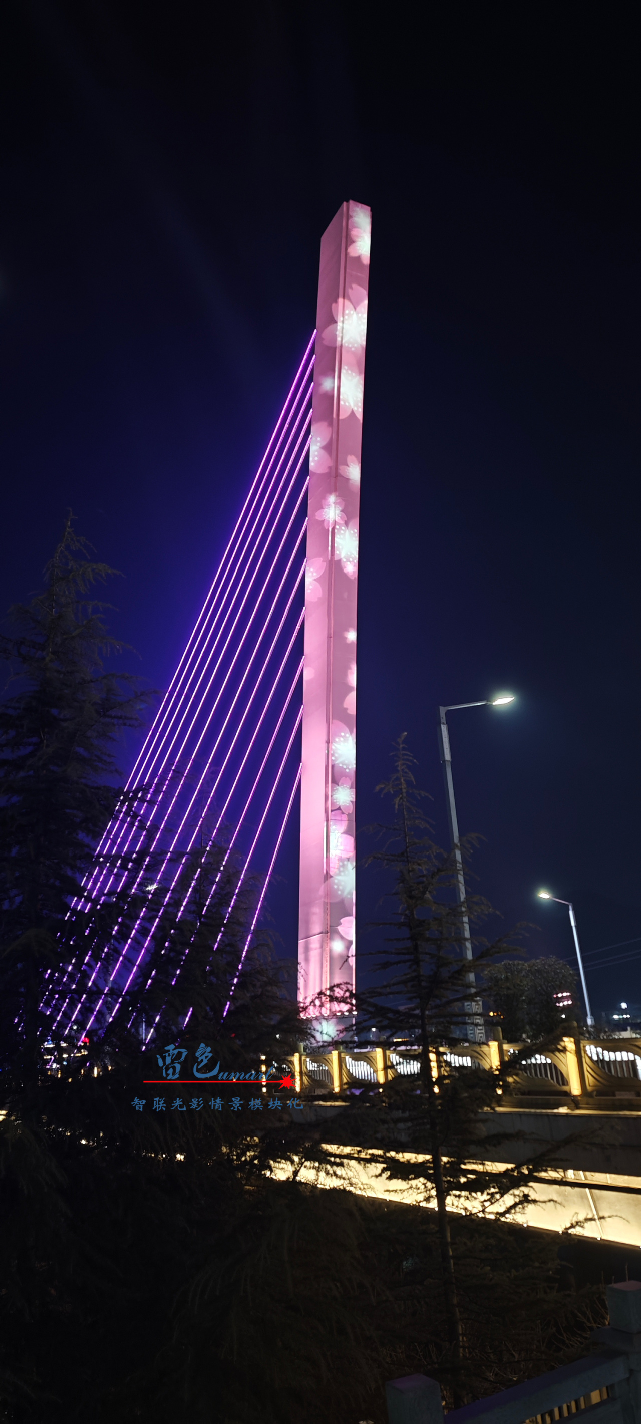 光影交織，夢想啟航——雷色光電2023光影年鑒與2024夢幻前瞻！(圖42)